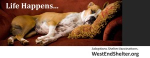 non profit west end shelter for animals outdoor billboard from perry design and advertising - image