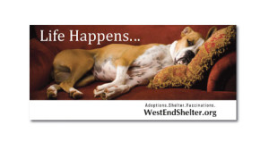 ontario non profit west end shelter for animals outdoor billboard from perry design and advertising - image