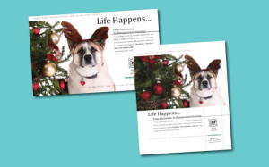ontario non profit west end shelter for animals print ads from perry design and advertising - image